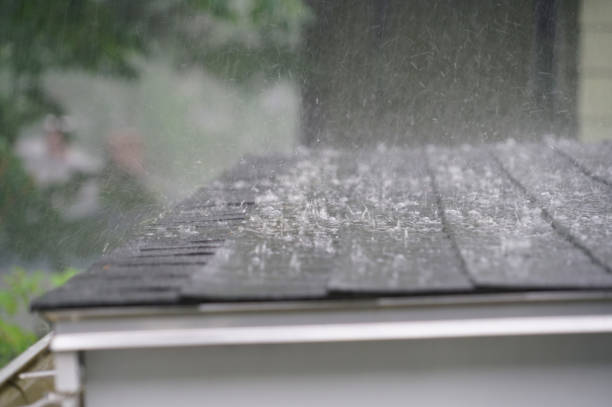 Best Skylight Installation and Repair  in Llender, CA